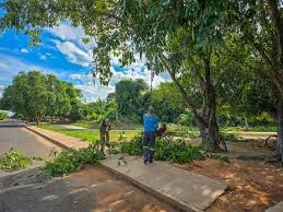 cara-nova:-lagoa-comprida-recebe-forca-tarefa-de-zeladoria-e-seguranca