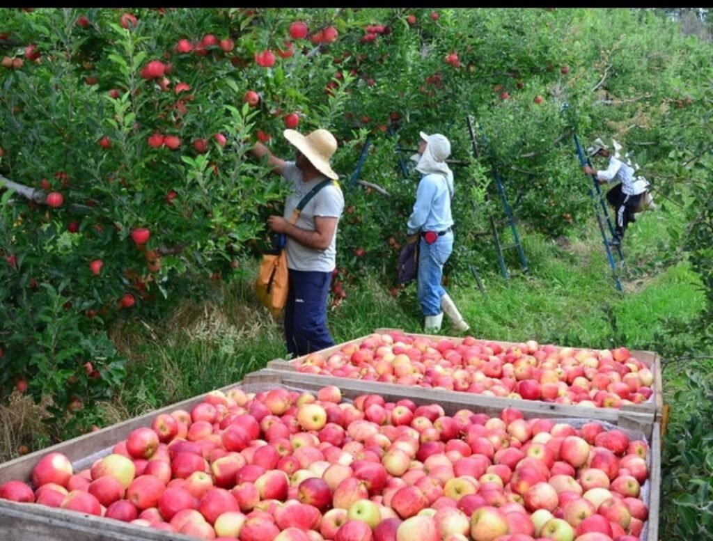 comunidade-da-segunda-aldeia-urbana-de-anastacio-recebe-oferta-de-40-vagas-de-trabalho-em-santa-catarina