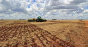 previsao-indica-chuvas-irregulares-e-temperaturas-acima-da-media-em-ms-de-marco-a-maio