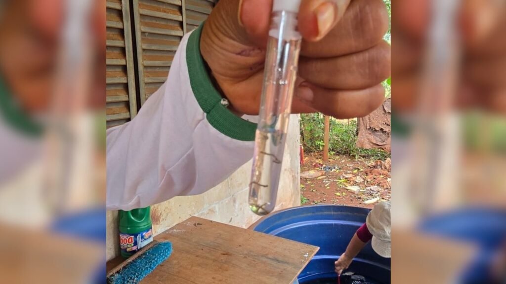 frente-fria-pode-aliviar-avanco-da-chikungunya-em-ms