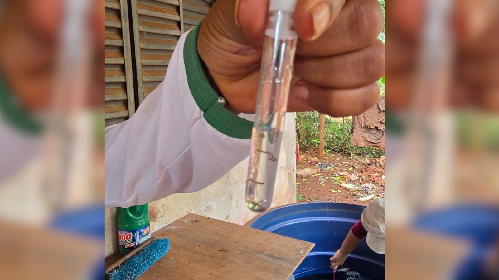 frente-fria-pode-aliviar-avanco-da-chikungunya-em-ms