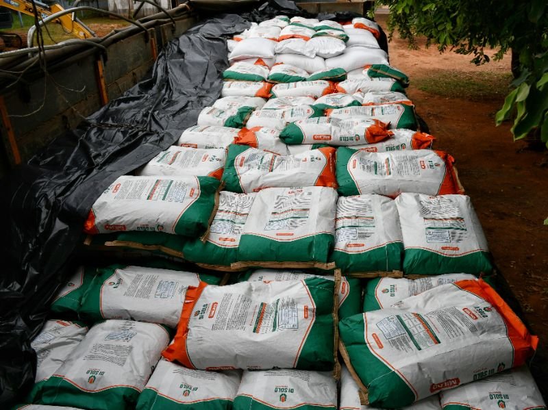 prefeitura-fortalece-agricultura-familiar-com-entrega-de-sementes-para-comunidades-indigenas-e-quilombolas