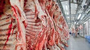 prefeito-articula-reabertura-do-frigorifico-buriti-para-impulsionar-economia-em-aquidauana