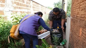 ms-soma-16-obitos:-3a-morte-por-chikungunya-e-registrada-em-bonito