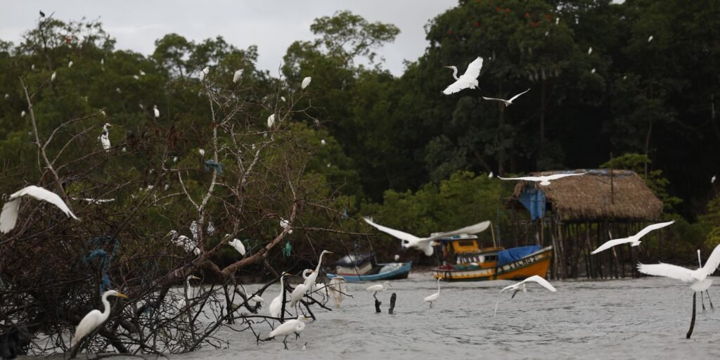 amazonia-soberana:-programa-vai-combater-crimes-em-areas-de-fronteira