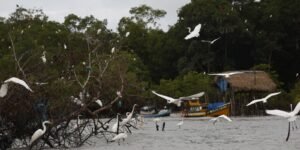 amazonia-soberana:-programa-vai-combater-crimes-em-areas-de-fronteira