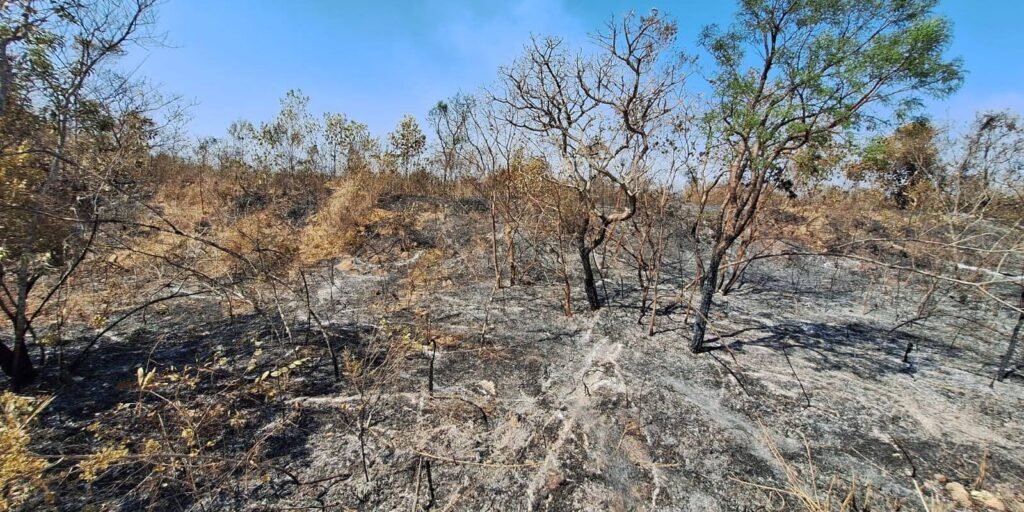 mudancas-climaticas-ja-afetam-85%-dos-brasileiros,-diz-pesquisa