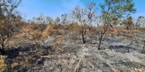 mudancas-climaticas-ja-afetam-85%-dos-brasileiros,-diz-pesquisa