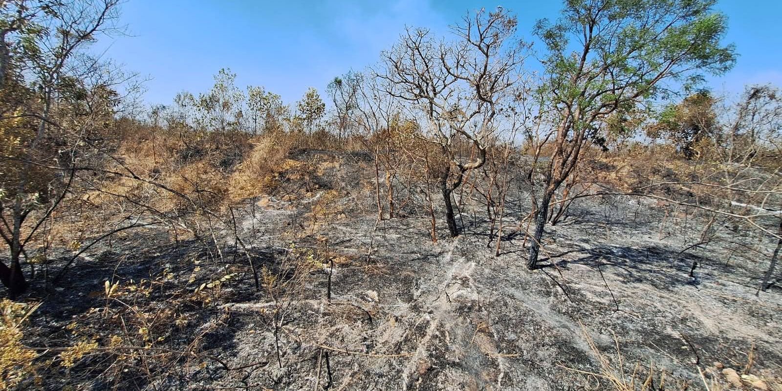 mudancas-climaticas-ja-afetam-85%-dos-brasileiros,-diz-pesquisa
