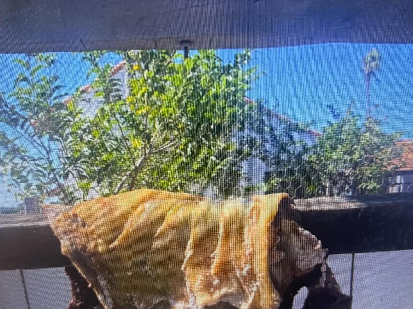 a-carne-seca-do-pantanal-tem-seus-segredos
