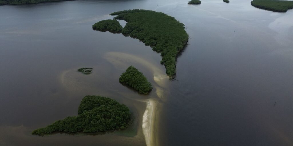 carbono-azul-ganha-espaco-na-agenda-climatica-dos-oceanos