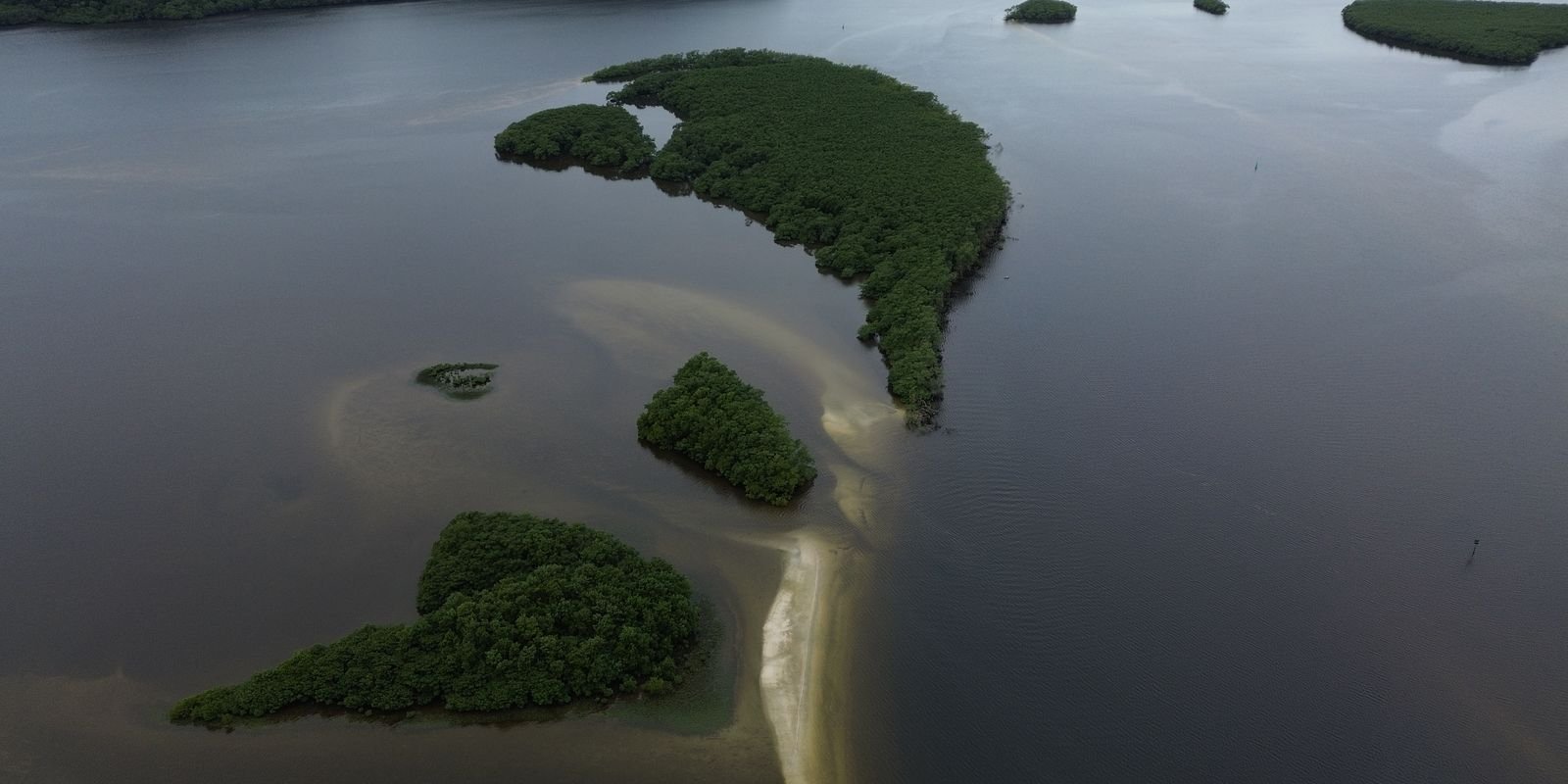 carbono-azul-ganha-espaco-na-agenda-climatica-dos-oceanos