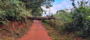 prefeitura-mobiliza-equipes-e-intensifica-acoes-apos-fortes-chuvas-em-aquidauana