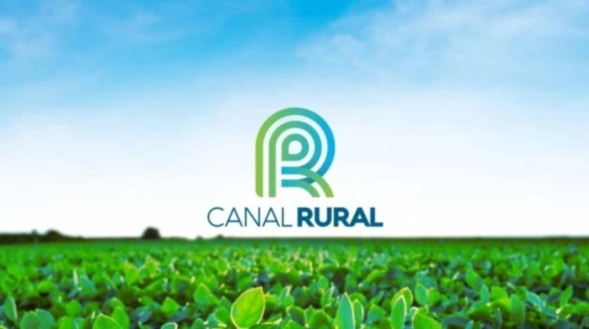 cerrado-perdeu-13,9-milhoes-de-hectares-de-vegetacao-proxima-a-rios-em-40-anos