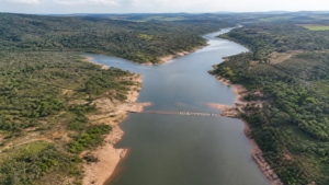 relatorio-aponta-queda-de-73%-nas-populacoes-de-vertebrados-selvagens-desde-1970