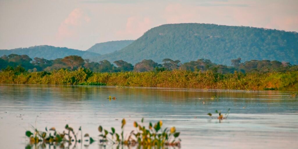 cerrado-ja-perdeu-13,9-milhoes-de-hectares-de-margens-de-rios-verdes
