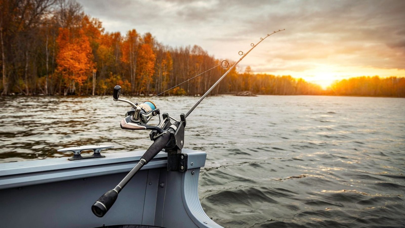 revisao-de-regras-para-pesca-amadora-esta-em-consulta-publica