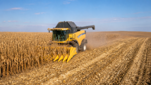 colheita-de-milho-nos-eua-avanca-a-33%-e-soja-chega-a-46%,-diz-usda