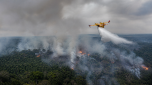 para-lidera-focos-de-incendio-no-pais-e-santarem-tem-ar-muito-insalubre