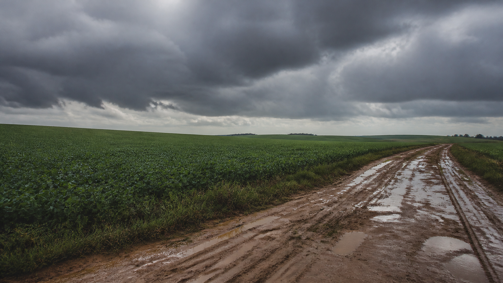 chuva-pode-chegar-a-152-mm-em-48-horas-no-parana