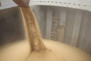 anec-reduz-previsao-de-exportacao-de-soja-em-outubro-e-eleva-a-de-milho;-saiba-os-numeros