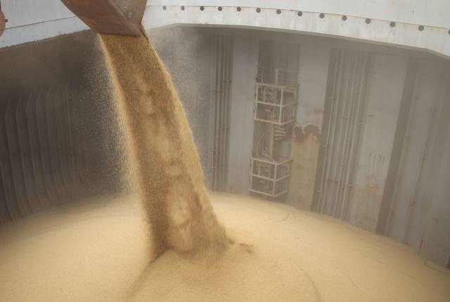 anec-reduz-previsao-de-exportacao-de-soja-em-outubro-e-eleva-a-de-milho;-saiba-os-numeros