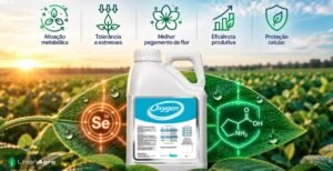 nova-ferramenta-da-unionagro-ajuda-lavouras-a-enfrentar-o-estresse-e-aumenta-a-produtividade-em-cerca-de-13%